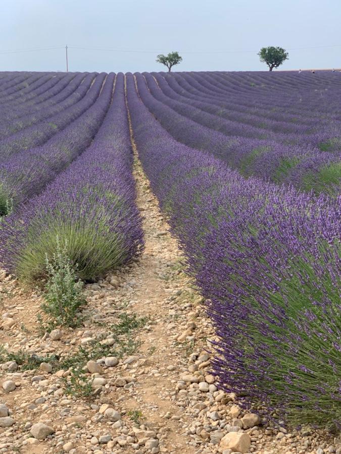 Studio Nuitee En Provence 2 Éguilles Dış mekan fotoğraf